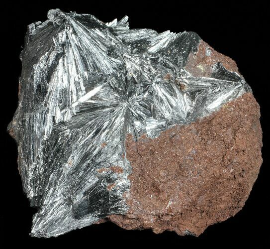 Metallic, Radiating Pyrolusite Cystals - Morocco #56956